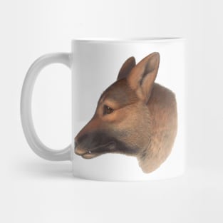 Canis dingo Australian wildlife canine Mug